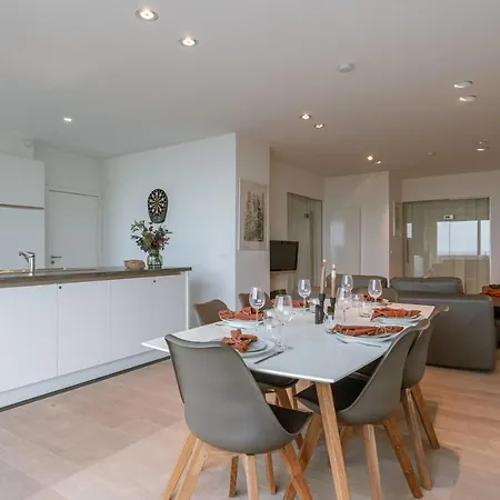Modern And Spacious With Frontal Seaview Middelkerke